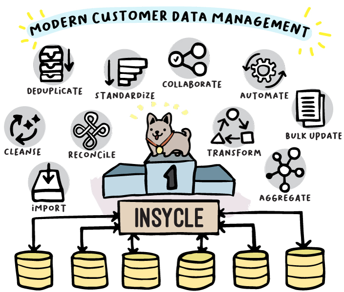 Insycle modern customer data management